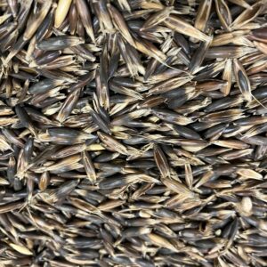 Bio Schwarzhafer